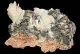 Cerussite Crystals with Bladed Barite on Galena - Morocco #82350-1